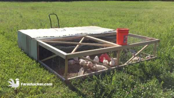 How to Build a Joel Salatin Style Chicken Tractor - Featured Image