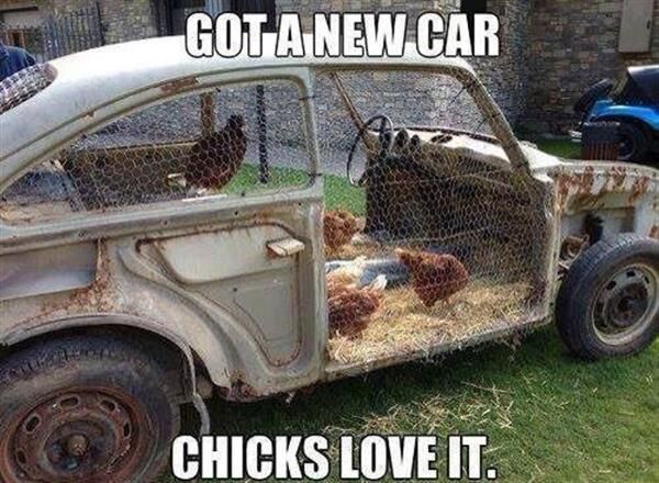 Got a New Car, Chicks Love It - Farming Memes - Car Chicken Coop Image