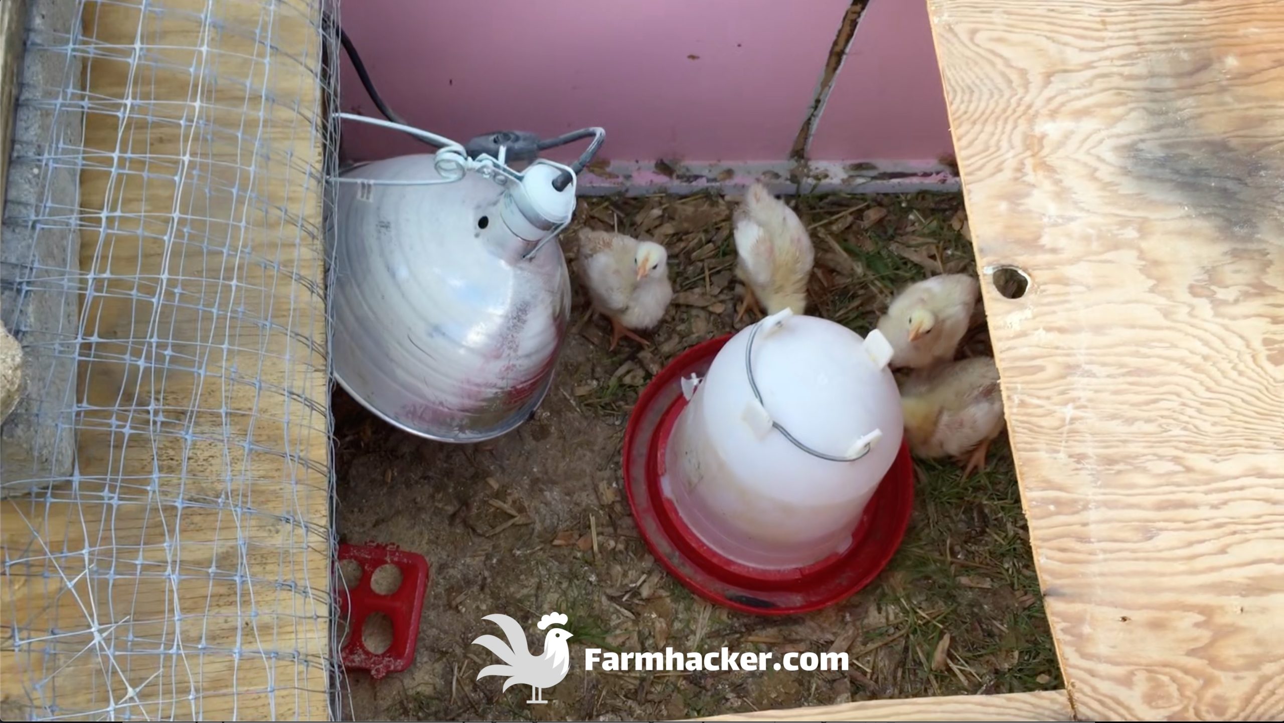 How to Build a Chicken Brooder - The Inside