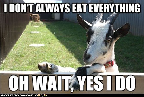 I Don't Always Eat Everything, Oh Wait Yes I Do - Farming Memes - Goat Leaning on a Fence Image