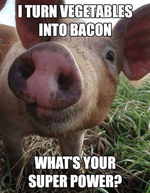 I Turn Vegetables Into Bacon, What's Your Super Power - Farming Memes