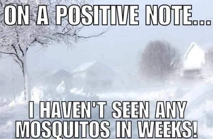 On a Positive Note I Haven't Seen Any Mosquitoes in Weeks - Farming Memes - Farm Covered in Snow Image