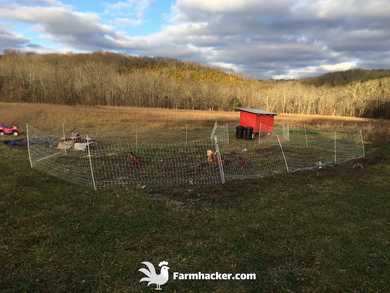 Read more about the article The 5 Best Chicken Coops in 2023