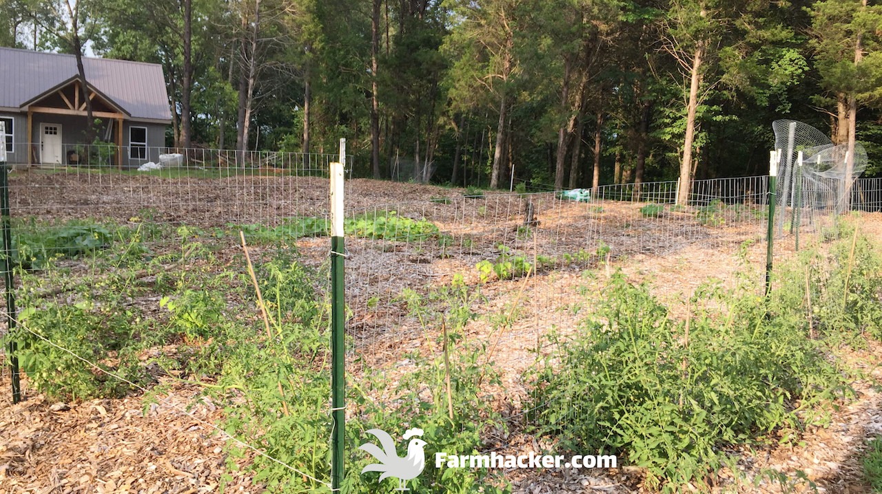 Read more about the article How to Start a Wood Chip Vegetable Garden