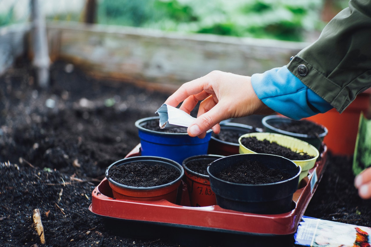 Read more about the article The 3 Best Organic Potting Soils in 2023
