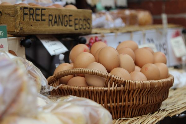Read more about the article How to Make Money Selling Eggs on Your Small Farm
