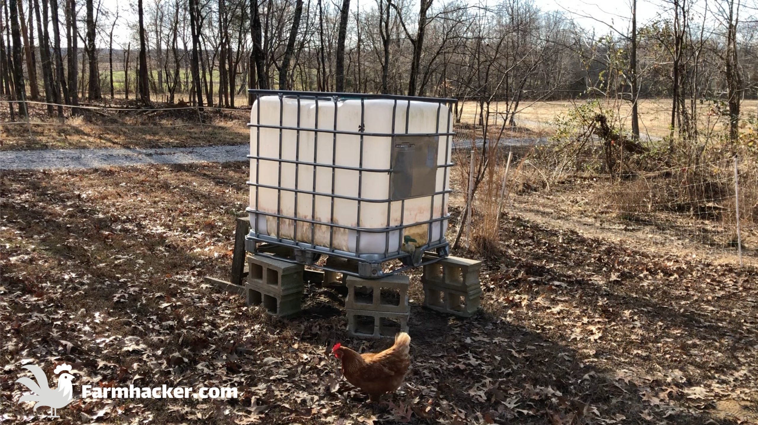 Portable Pig Waterer From a 275 Gallon Tote