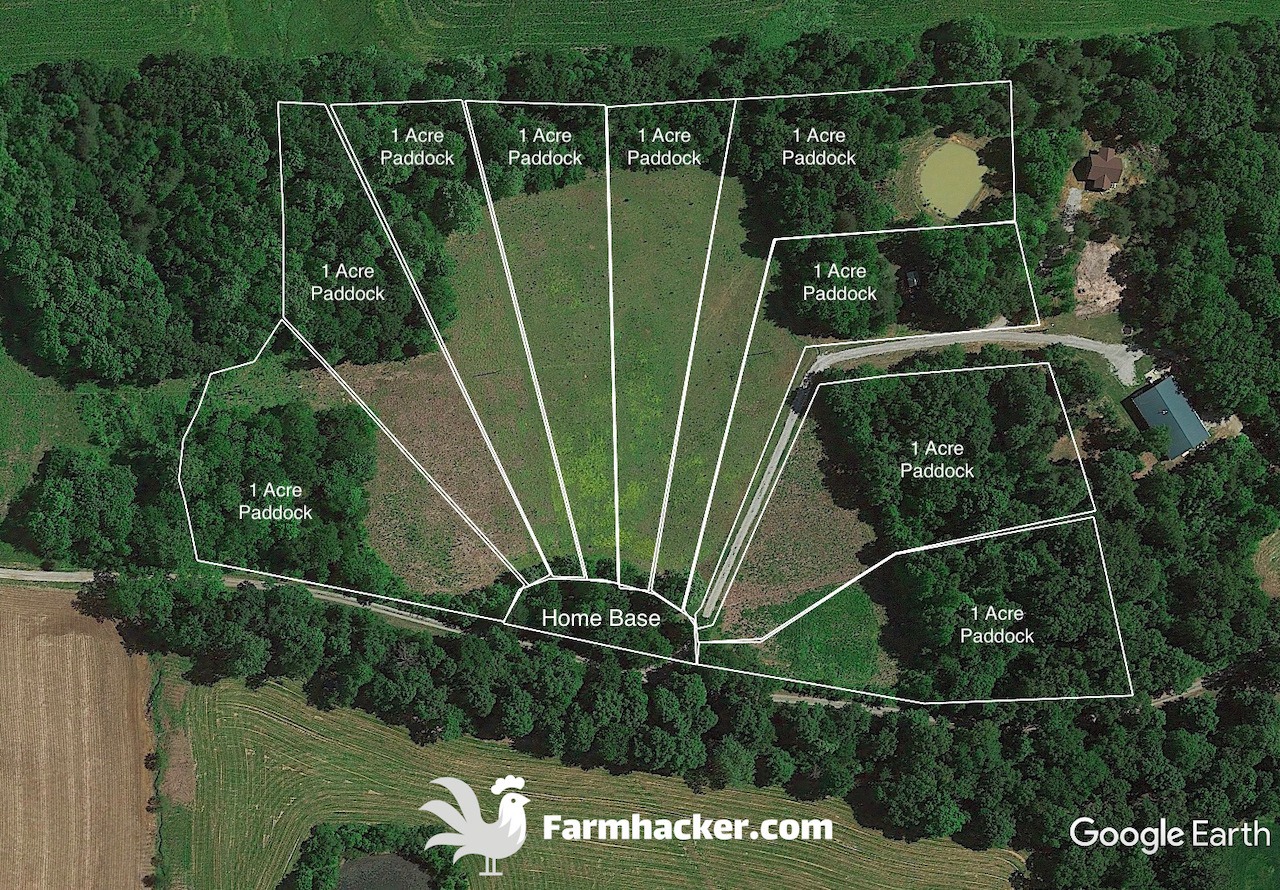 Read more about the article Pasture Pigs: Rotational Grazing Paddock Design & Layout