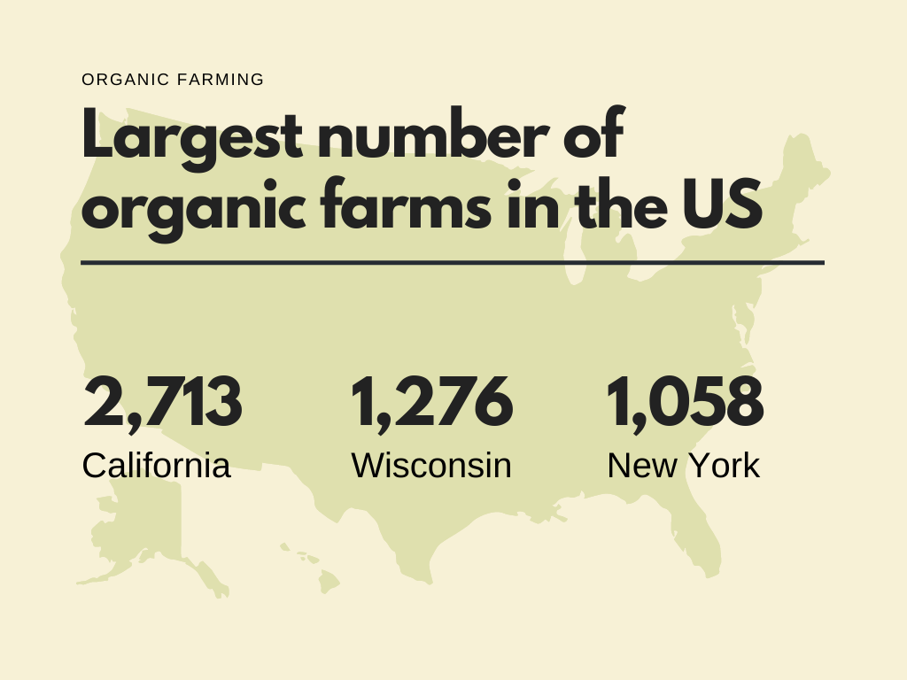 Number of Organic Farms by State in the US