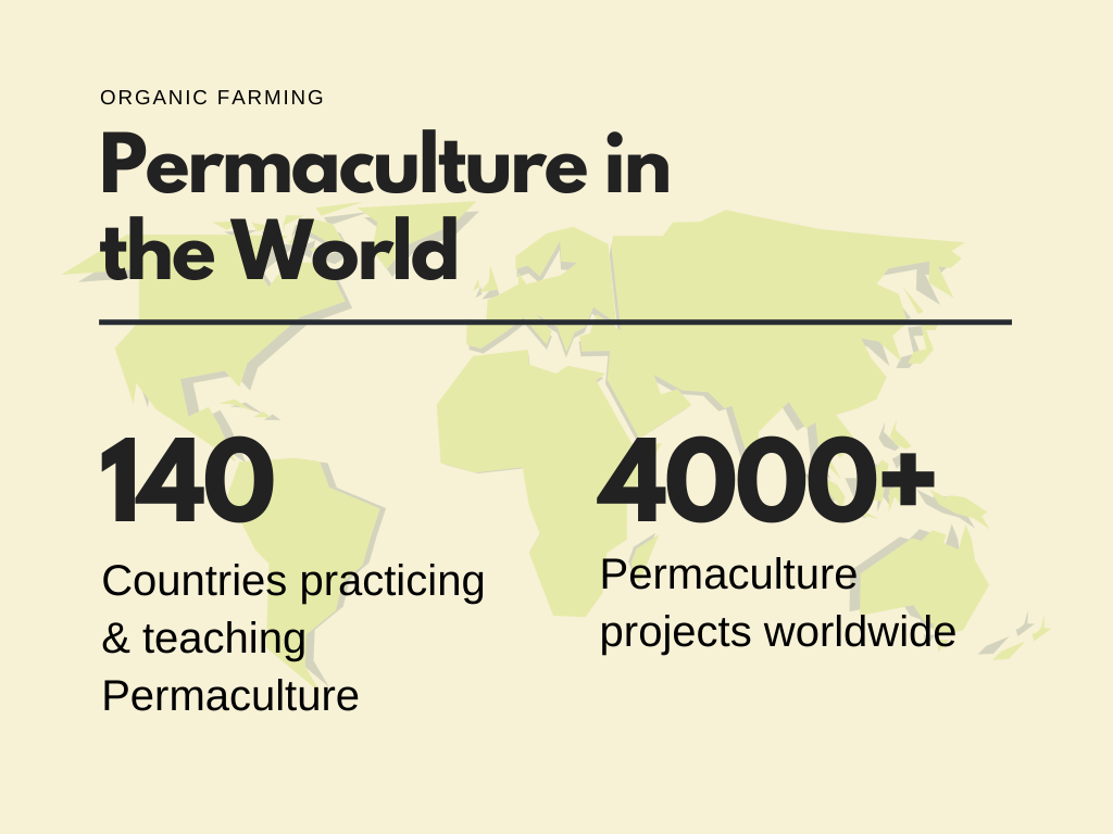 Permaculture projects in the world
